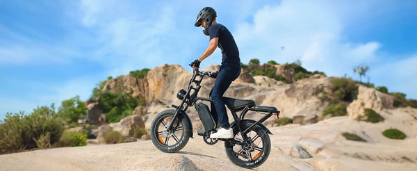 electric bike all terrain