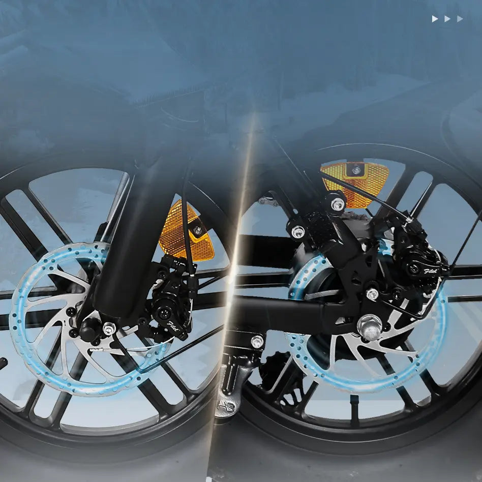 Front and Rear Disc Brakes