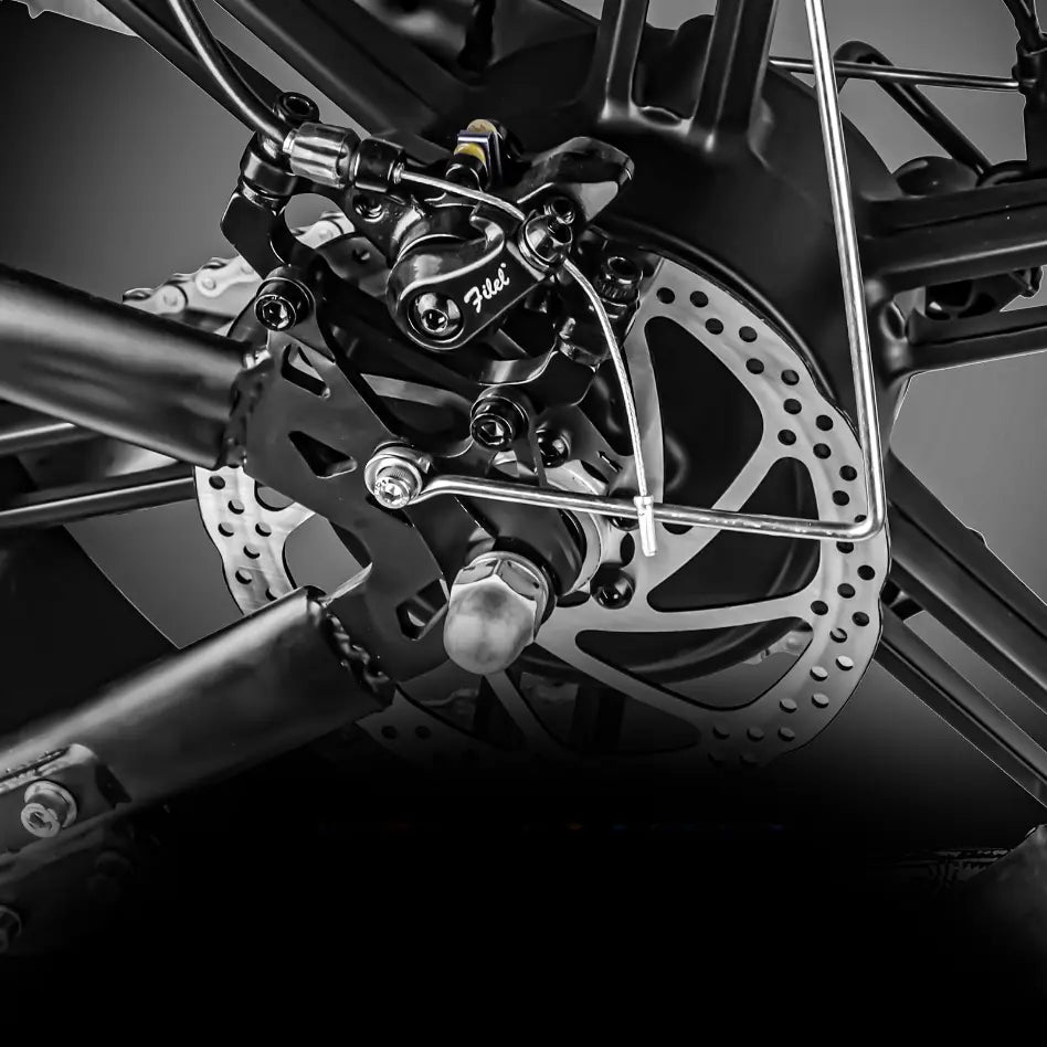 Dual hydraulic electric bicycle