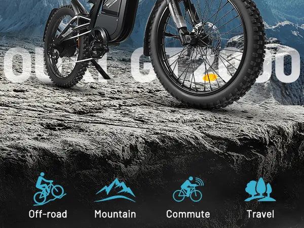 Electric mountain bike