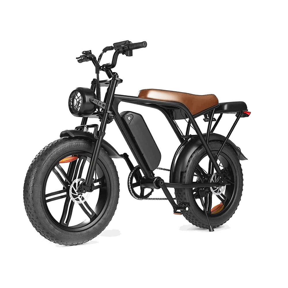 deluxe electric bicycle