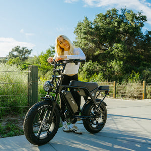 v8 max ebike
